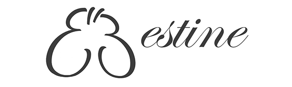 E站LOGO