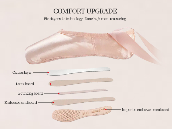 Structure of Pointe Shoes