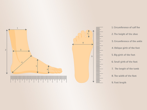 Foot length measurements points